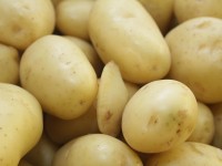 Batata
