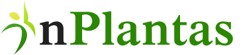nPlantas